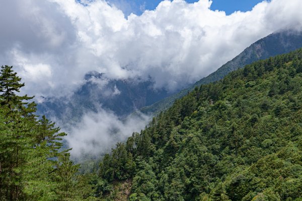 巒安堂上西巒大山1860213