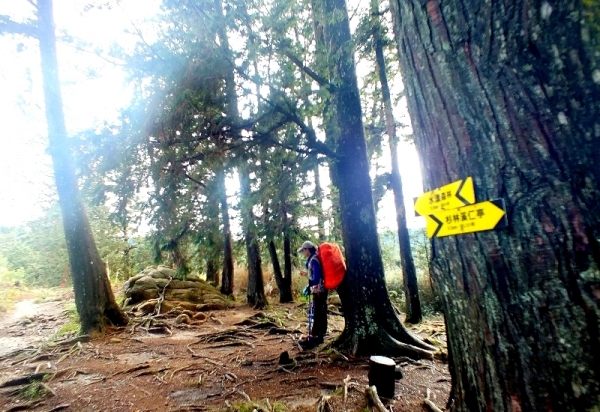 ◎ 水漾森林- 苦路篇 (鹿屈山前峰 vs 鹿屈山)85183