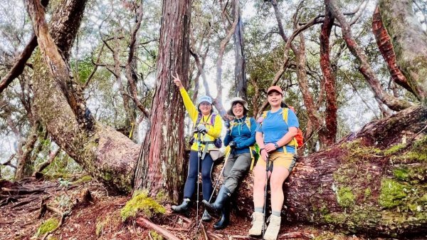 🌈4/13（日）（三）魔法森林-塔曼山~FB：熊熊趴爬走🌈2761316