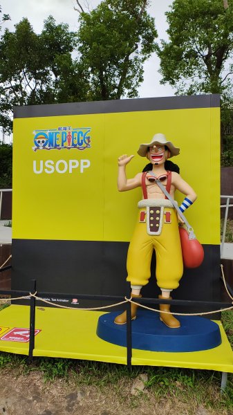 新竹航海王2938903