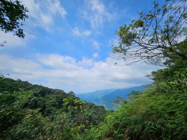 20260929泰武 虻彈山 桑留守山O繞3124978
