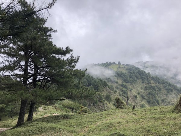 麟趾山 鹿林山627846