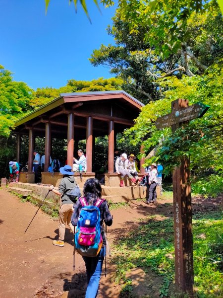 大屯山泥巴滑溜溜914396