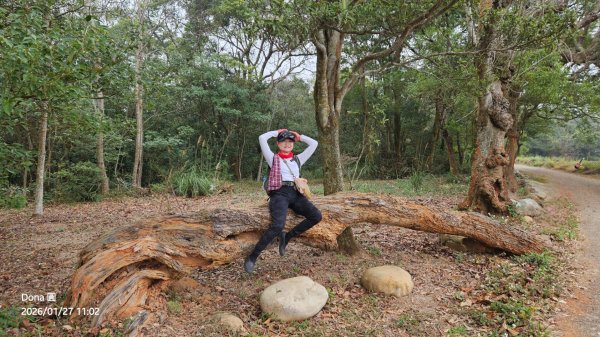 20260127三通嶺山.三義山(大桁茂山).慈濟山.大坪山大O走2989908
