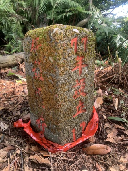 20250531屏東虻彈山東峰2803158