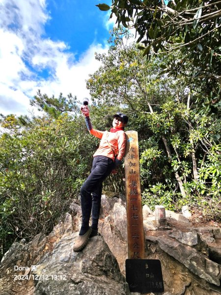 【谷關七雄】波津加(H1771.6m)肉腳配速成功2670495