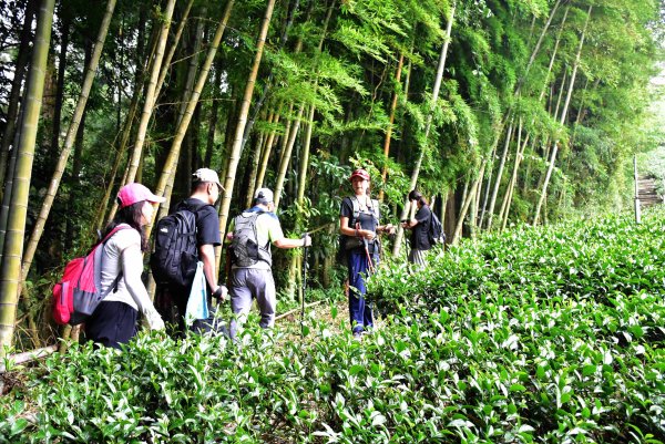 20260805阿里山石棹大凍山攀登3097063