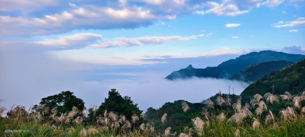 #樹梅坪 #金瓜石 12/102958899