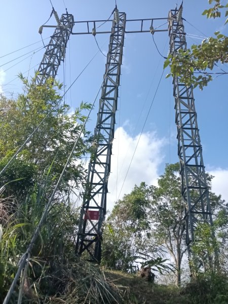 雙溪區東內平林山+上平林山+平林山去回2952474