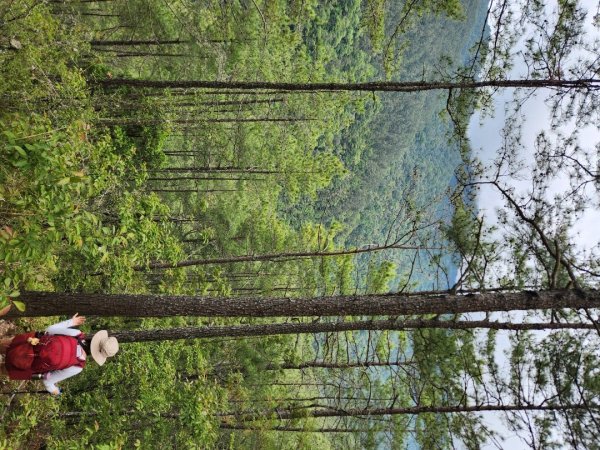 【百岳】志佳陽大山2779730