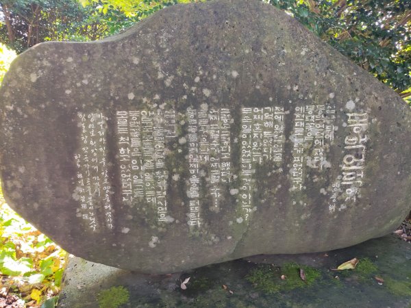 韓國濟州島：山茶花之丘2912447