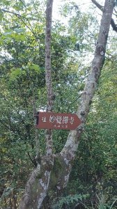 大暖尖山 天上山O型圈2093022