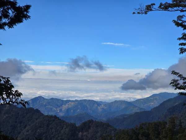 大雪山國家森林遊樂區賞楓／看神木／賞雪白山頭／賞大景2974319