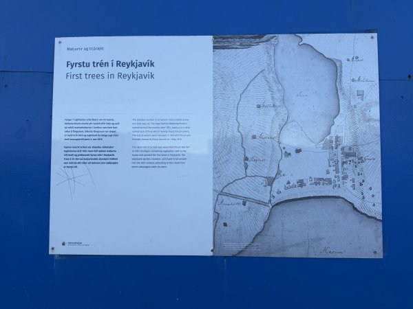 [紐約馬之行-22] 2025_1104 哈帕音樂廳(Harpa)2946668