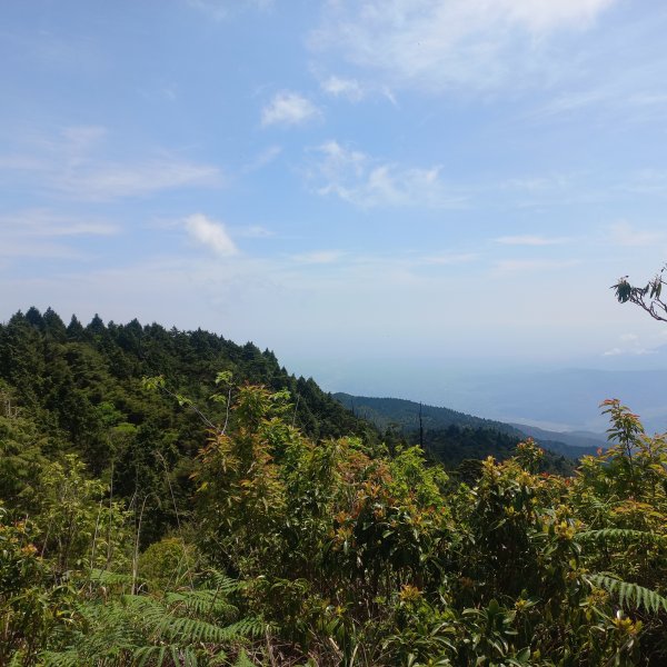 塔魔巴魔塔2698673