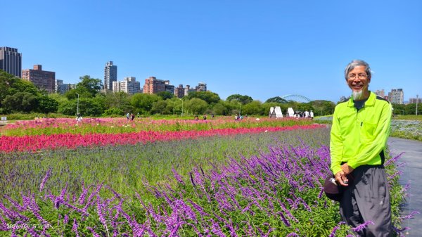 首訪 #古亭河濱公園 #花海 3/153015672