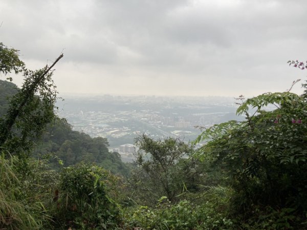 【南山神壽任務尋寶趣】鳶山彩壁、福德坑山步道【小百岳集起來】#19 鳶山登山步道1580855