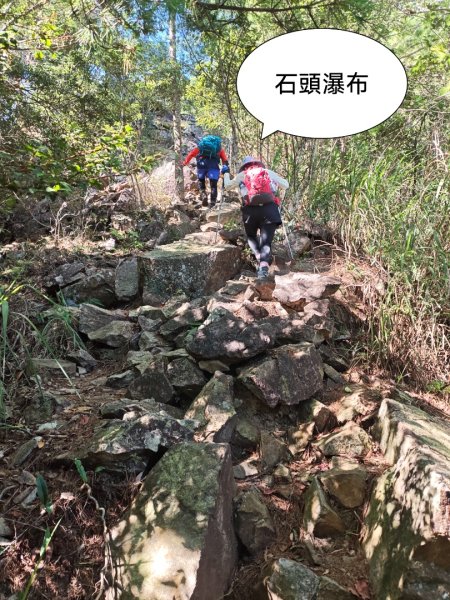 阿冷山 谷關第八雄2877409