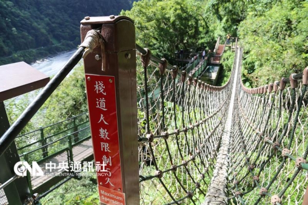 【新聞】小錐麓步道 過棧道吊橋學猴爬