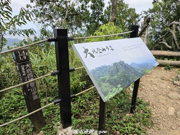 【台中北屯】大坑四號步道x頭嵙山3090944