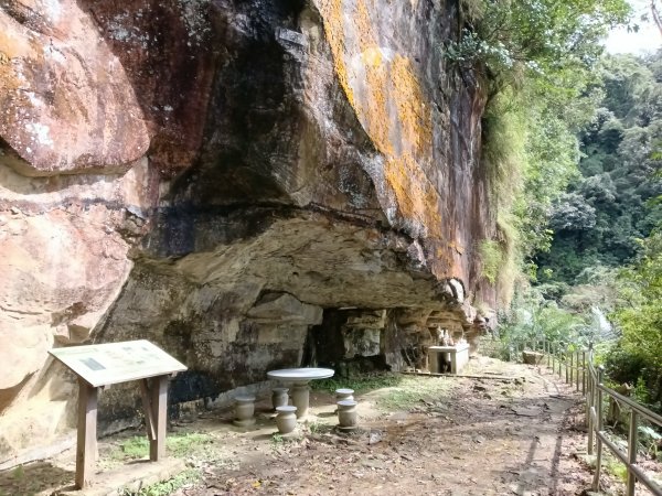 汐止區大尖山櫻花+秀峰瀑布O型3009363