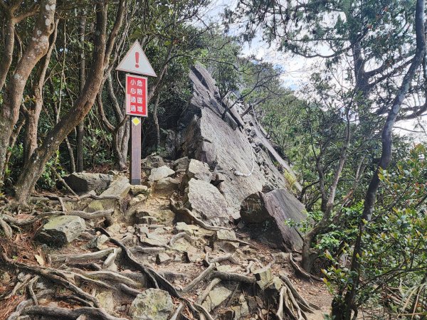 20250831鳶嘴稍來2928606