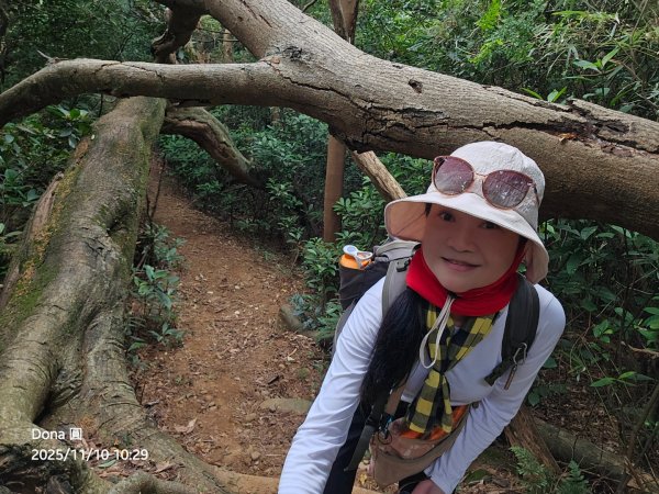 20251110竹北文山步道＆犁頭山稜線步道賞高鐵+大墩山柿園2934060