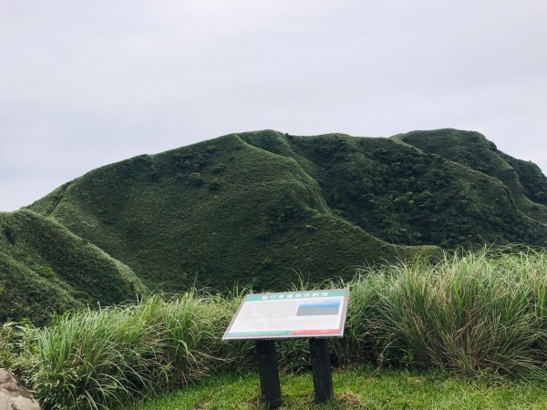 瓏美麗一週一步道（桃源谷）590144