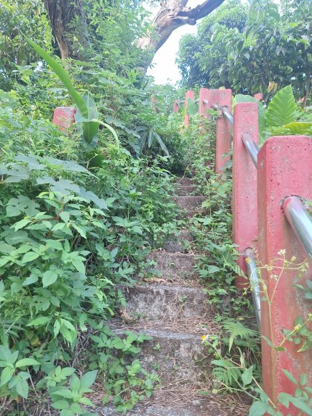 蘇澳砲台山11507183117183