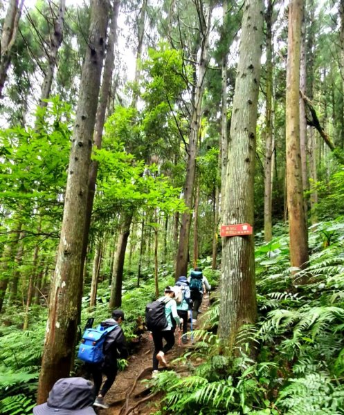 【中級山縱走】高島縱走（高台山，小島田山，中島田山，大島田山）2740954