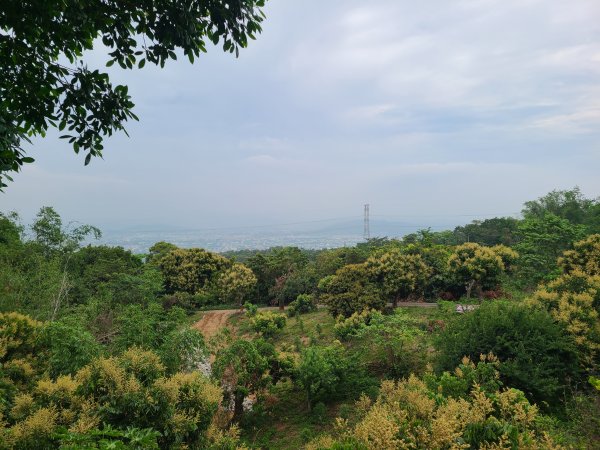 挑水古道+十八觀音步道+大峰巷步道+碧山古道O繞2766195