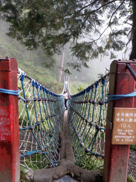 見晴懷古步道之霧中朦朧美1379155