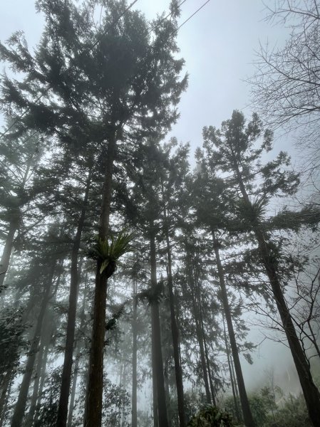 藤枝山&鳴海山2964415