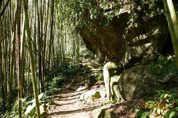 嘉義 竹崎 光崙山、摩天嶺1941073