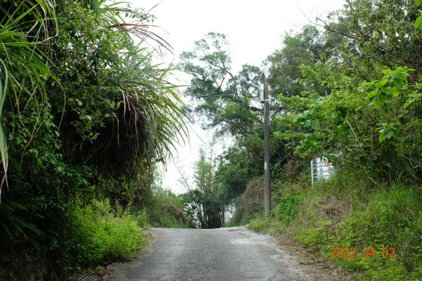 臺南 新化 大坑尾山1663943