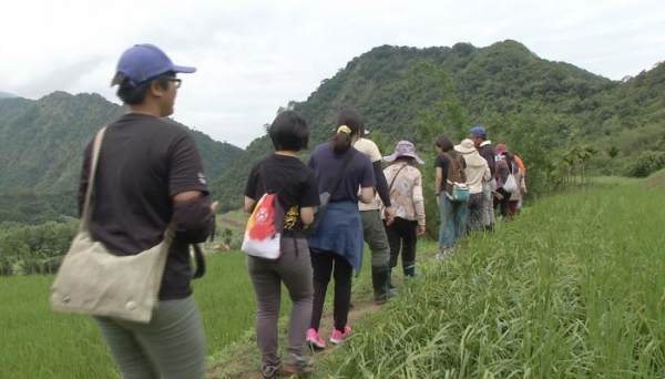 【環境】吉哈拉艾的里山時光