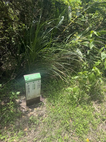 78赤牛嶺大山母山3083570