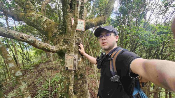 20250516九芎坑山-司公髻尾山-鑽石峰-人頭面山-南勢坑大尖-小尖山主前峰2787672