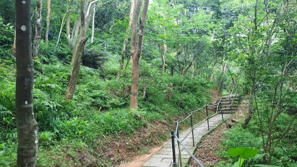 《台北》城市晨運｜虎山親山自然步道（松山慈惠堂）202505222795767