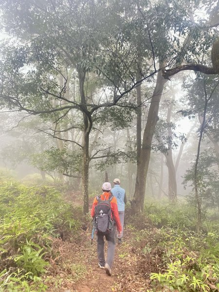 三義銅鑼基石巡禮—大椼茂.大坑尾.竹圍.長潭坑.田洋.圓潭.虎頭崁.簡窩筧.大薰山 2024.3.72447832