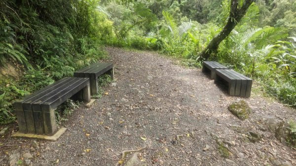 20250730烏來三山下紅河谷2848730