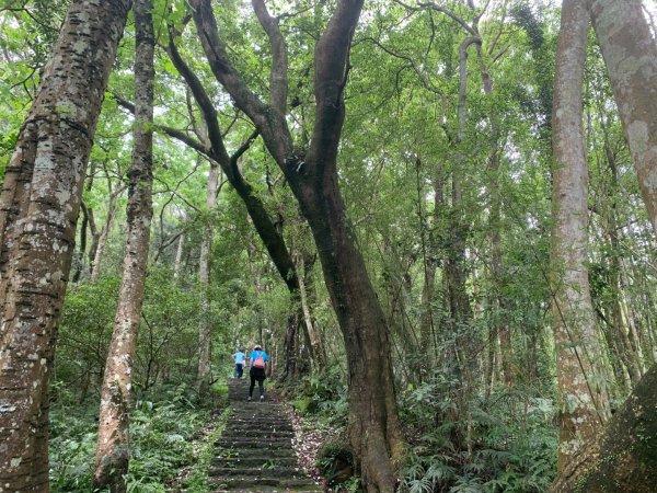 大崎棟古道、騎龍古道2772255