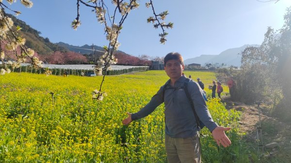 南投草坪頭2714131