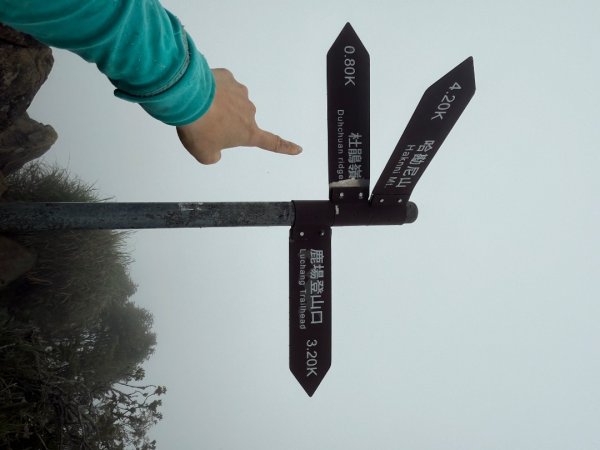 20250607 春谷養鱒場所上加里山 出大坪2805234