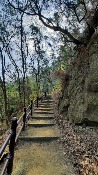 《台中》三崁頂健康步道(北坑123步道)202103061297625