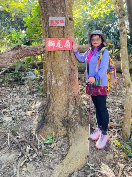 崁頭山(小百岳#64)嘉林湖山 咖啡山 獅額山環形2667505