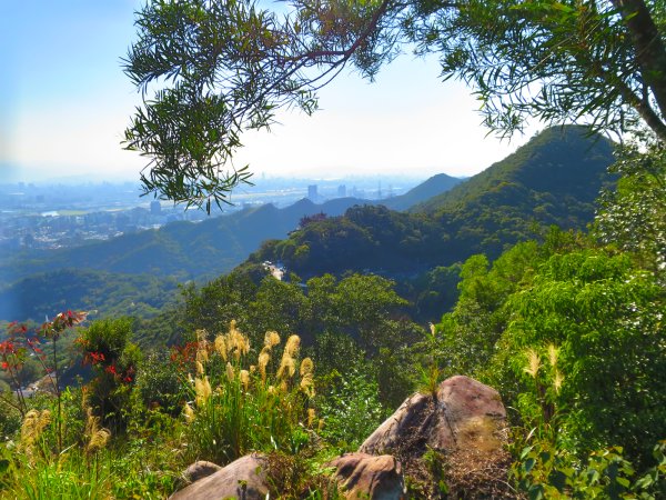 龍年首登的好選擇，鯉躍龍門，搭捷運來內湖爬三尖，鯉魚山、忠勇山、圓覺尖2426526