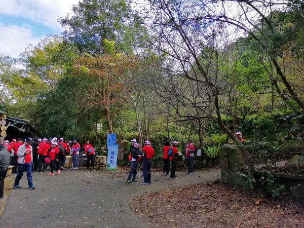 【台中。和平】谷關七雄入門款。 唐麻丹山874506