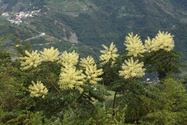 【南投】馬海濮岩窟印象：眺望歷史現場