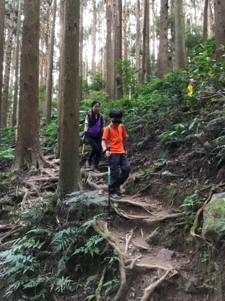 加里山鹿野線461348